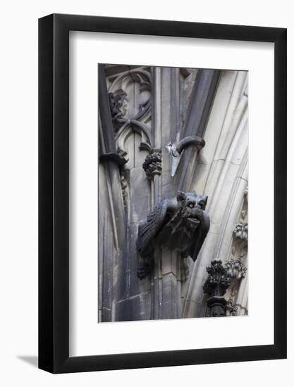 Germany, Cologne, Cologne Cathedral, Gargoyles-Samuel Magal-Framed Photographic Print