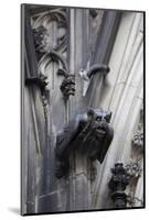 Germany, Cologne, Cologne Cathedral, Gargoyles-Samuel Magal-Mounted Photographic Print