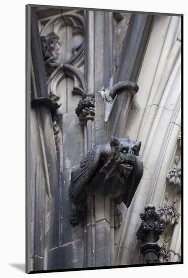 Germany, Cologne, Cologne Cathedral, Gargoyles-Samuel Magal-Mounted Photographic Print