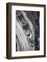 Germany, Cologne, Cologne Cathedral, Gargoyles-Samuel Magal-Framed Photographic Print