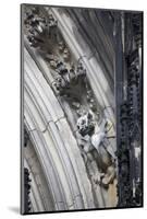 Germany, Cologne, Cologne Cathedral, Gargoyles-Samuel Magal-Mounted Photographic Print