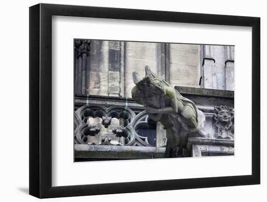 Germany, Cologne, Cologne Cathedral, Gargoyles-Samuel Magal-Framed Photographic Print