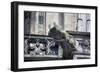 Germany, Cologne, Cologne Cathedral, Gargoyles-Samuel Magal-Framed Photographic Print