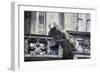 Germany, Cologne, Cologne Cathedral, Gargoyles-Samuel Magal-Framed Photographic Print