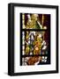 Germany, Cologne, Cologne Cathedral, North Aisle, Stained Glass Window, St. Peter and Tree of Jesse-Samuel Magal-Framed Photographic Print