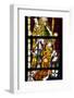 Germany, Cologne, Cologne Cathedral, North Aisle, Stained Glass Window, St. Peter and Tree of Jesse-Samuel Magal-Framed Photographic Print