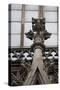 Germany, Cologne, Cologne Cathedral, Pinnacle-Samuel Magal-Stretched Canvas