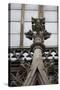 Germany, Cologne, Cologne Cathedral, Pinnacle-Samuel Magal-Stretched Canvas