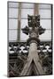 Germany, Cologne, Cologne Cathedral, Pinnacle-Samuel Magal-Mounted Photographic Print