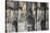 Germany, Cologne, Cologne Cathedral, Southern Facade, General View-Samuel Magal-Stretched Canvas