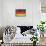 Germany Country Flag - Barnwood Painting-Lantern Press-Art Print displayed on a wall