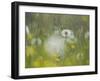 Germany, Dandelion in Flower Meadow-K. Schlierbach-Framed Photographic Print