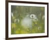 Germany, Dandelion in Flower Meadow-K. Schlierbach-Framed Photographic Print