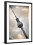 Germany, Deutschland. Berlin. Berlin Mitte. Alexanderplatz. Berliner Fernsehturm-Francesco Iacobelli-Framed Photographic Print