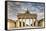 Germany, Deutschland. Berlin. Berlin Mitte. Brandenburg Gate, Brandenburger Tor-Francesco Iacobelli-Framed Stretched Canvas