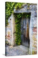 Germany, Freinsheim, Old Doorway-Hollice Looney-Stretched Canvas