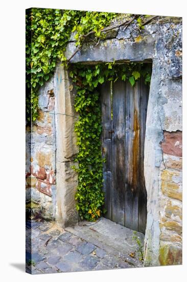 Germany, Freinsheim, Old Doorway-Hollice Looney-Stretched Canvas