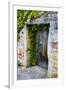 Germany, Freinsheim, Old Doorway-Hollice Looney-Framed Premium Photographic Print