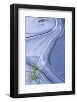 Germany, Frozen Kiefernschossling in Ice, Ice Structure-K. Schlierbach-Framed Photographic Print