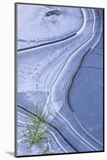 Germany, Frozen Kiefernschossling in Ice, Ice Structure-K. Schlierbach-Mounted Photographic Print