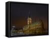 Germany, Hamburg, City Centre, Rathausmarkt, City Hall-Ingo Boelter-Framed Stretched Canvas