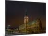 Germany, Hamburg, City Centre, Rathausmarkt, City Hall-Ingo Boelter-Mounted Photographic Print