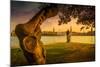 Germany, Hamburg, City Centre, the Alster, Inner Alster, Autumn-Ingo Boelter-Mounted Photographic Print