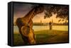 Germany, Hamburg, City Centre, the Alster, Inner Alster, Autumn-Ingo Boelter-Framed Stretched Canvas