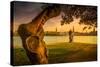 Germany, Hamburg, City Centre, the Alster, Inner Alster, Autumn-Ingo Boelter-Stretched Canvas