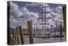 Germany, Hamburg, Elbe, Harbor, St. Pauli, Am Fischmarkt-Ingo Boelter-Stretched Canvas