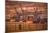 Germany, Hamburg, Elbe, Harbor, St. Pauli, Fish Market, Great Place, Container Terminal-Ingo Boelter-Mounted Photographic Print