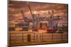 Germany, Hamburg, Elbe, Harbor, St. Pauli, Fish Market, Great Place, Container Terminal-Ingo Boelter-Mounted Photographic Print