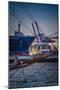 Germany, Hamburg, Elbe, Harbour, St. Pauli, Fish Market, Container Terminal, Great Place-Ingo Boelter-Mounted Photographic Print