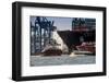 Germany, Hamburg, Elbe (River), 'Fischmarkt', Harbour-Ingo Boelter-Framed Photographic Print