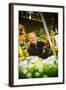 Germany, Hamburg, Flower Market, Flower Stall, Owner-Ingo Boelter-Framed Photographic Print