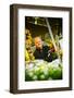 Germany, Hamburg, Flower Market, Flower Stall, Owner-Ingo Boelter-Framed Photographic Print