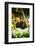 Germany, Hamburg, Flower Market, Flower Stall, Owner-Ingo Boelter-Framed Photographic Print