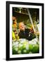 Germany, Hamburg, Flower Market, Flower Stall, Owner-Ingo Boelter-Framed Photographic Print