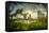 Germany, Hamburg, Hafencity, Harbour, Elbphilharmonie-Ingo Boelter-Framed Stretched Canvas