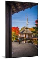 Germany, Hamburg, Park, Park, Planten Un Blomen, Autumn-Ingo Boelter-Mounted Photographic Print