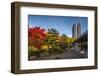 Germany, Hamburg, Park, Park, Planten Un Blomen, Autumn-Ingo Boelter-Framed Photographic Print