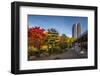 Germany, Hamburg, Park, Park, Planten Un Blomen, Autumn-Ingo Boelter-Framed Photographic Print