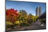 Germany, Hamburg, Park, Park, Planten Un Blomen, Autumn-Ingo Boelter-Mounted Photographic Print