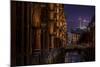 Germany, Hamburg, Speicherstadt (Warehouse District), Elbphilharmonie, Night, Night Shot-Ingo Boelter-Mounted Photographic Print