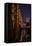 Germany, Hamburg, Speicherstadt (Warehouse District), Elbphilharmonie, Night, Night Shot-Ingo Boelter-Framed Stretched Canvas