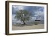 Germany, Hamburg, Spring-Uwe Steffens-Framed Photographic Print