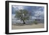 Germany, Hamburg, Spring-Uwe Steffens-Framed Photographic Print