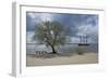 Germany, Hamburg, Spring-Uwe Steffens-Framed Photographic Print