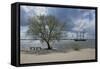 Germany, Hamburg, Spring-Uwe Steffens-Framed Stretched Canvas