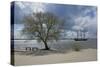 Germany, Hamburg, Spring-Uwe Steffens-Stretched Canvas